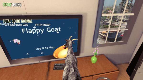 "Flappy goat" #sillyPicture  - embedded image