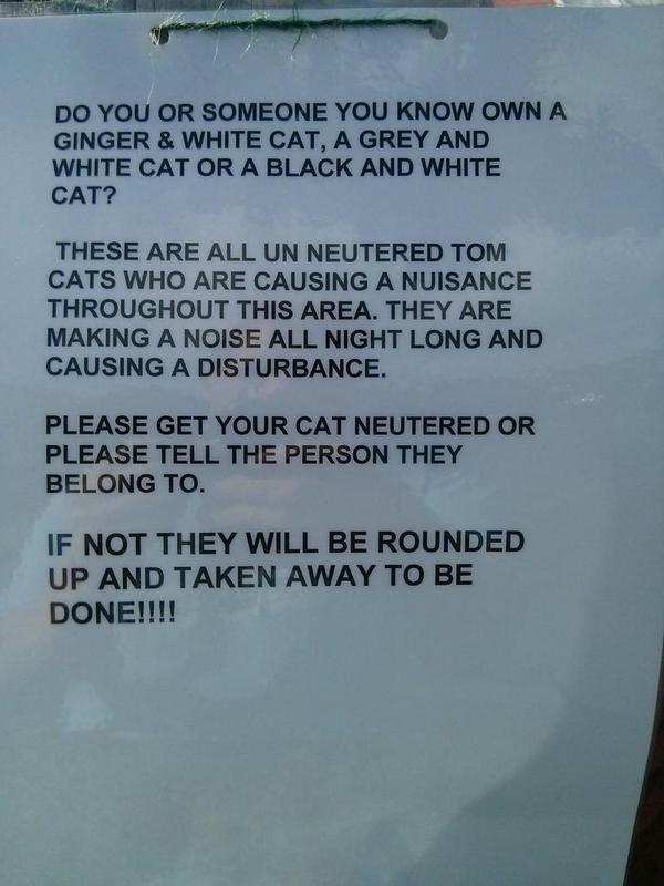 Beware male cats!  - embedded image