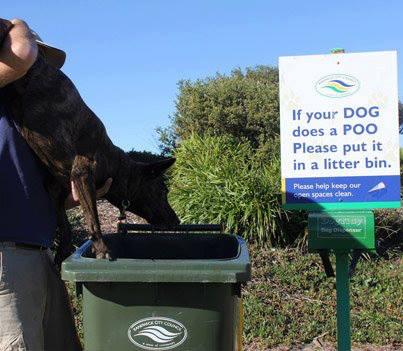 If your dog does a POO Please put it in the a litter bin. #justFollowingInstructions  - embedded image
