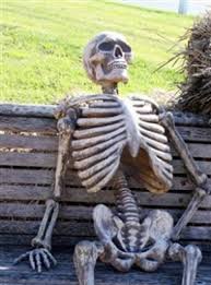 RT Waiting for the #lollipop update on my Xperia Z3 compact like -  - embedded image 