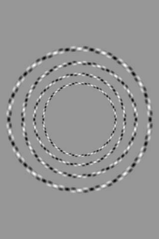 RT There are only 4 circles and none of them touch.  - embedded image 
