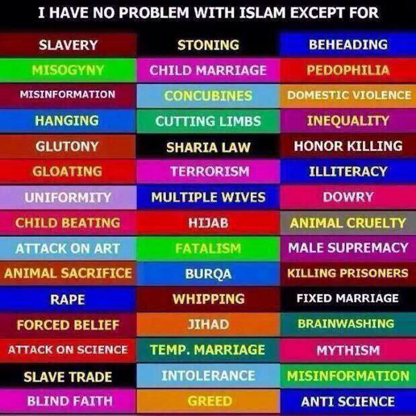 RT @Hughmanist @Louis_R_Thomas @RichardDawkins Islam would be the religion of peace if it wasn't for 1400yrs of this..  - embedded image 
