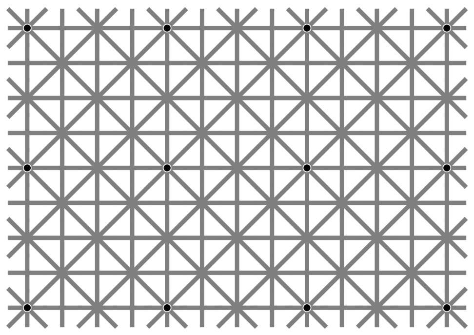 RT There are twelve black dots at the intersections in this image. Your brain won’t let you see them all at once.  - embedded image 