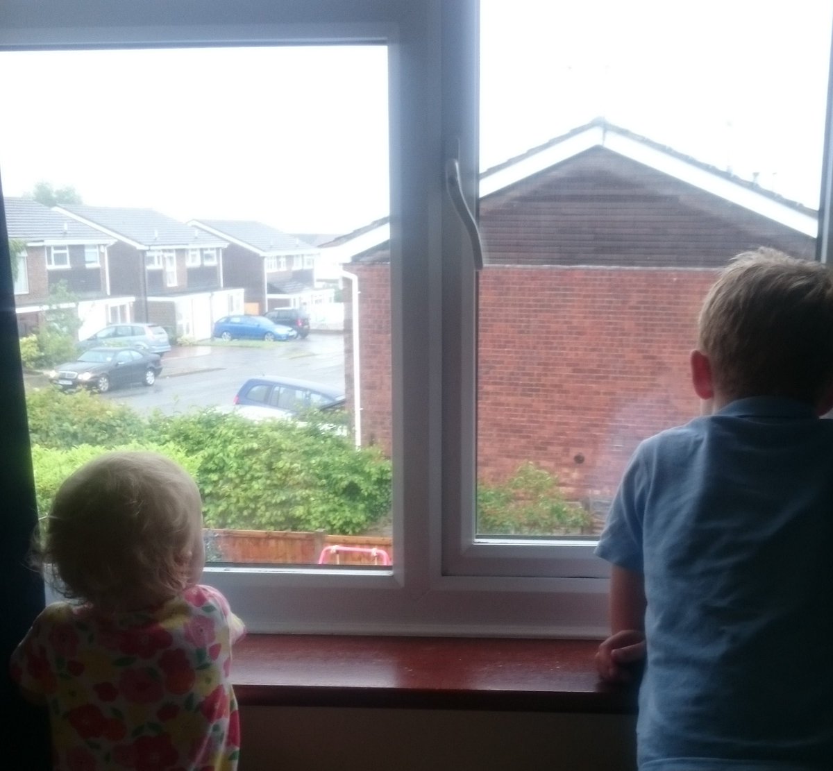 Gawping at the rain and neighbours.  - embedded image 