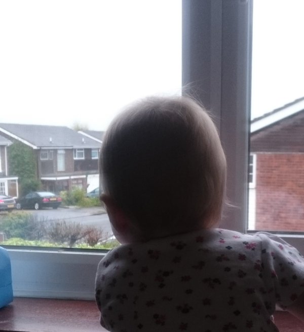 I appear to have raised a curtain twitcher / nosey parker ...  Potential recruit for neighbourhood watch?  - embedded image 