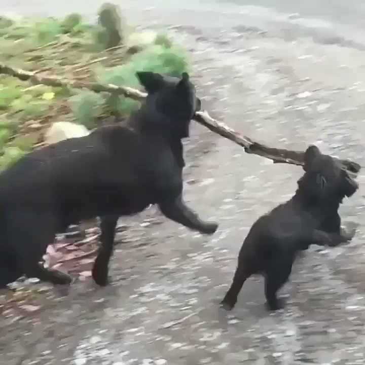 RT The Branch Manager and the Assistant to the Branch Manager.  - embedded image 