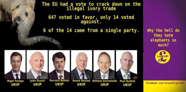 RT Not fair to say Ukip MEPs never turn up to vote. They do sometimes.  - embedded image 