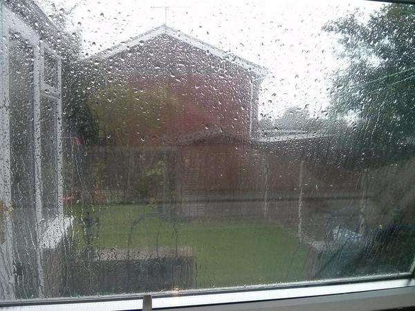Yep. Definitely time to go back abroad. #rain #rain  - embedded image