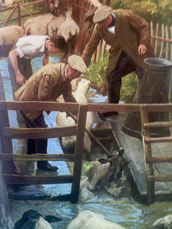 RT The Modern World in old Ladybird Books, pt 46. Modern Farming, health & safety (1963)  - embedded image 2