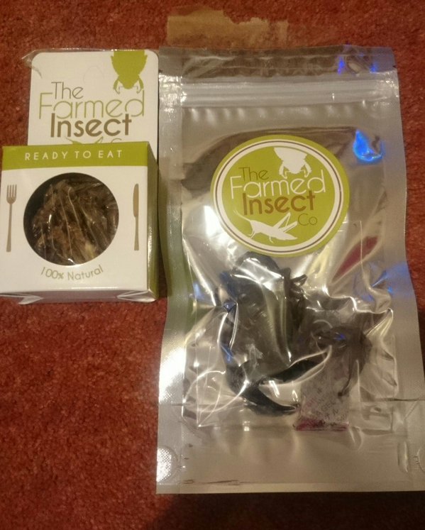 Thanks for the tasty grub @moreteadoctor (Grasshoppers and a Scorpion).  - embedded image 