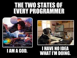 RT The 2 states of every programmer  - embedded image 