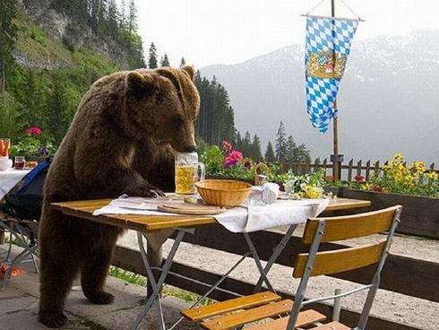RT @tdobson Why choose bear or beer when you can have both!  - embedded image 