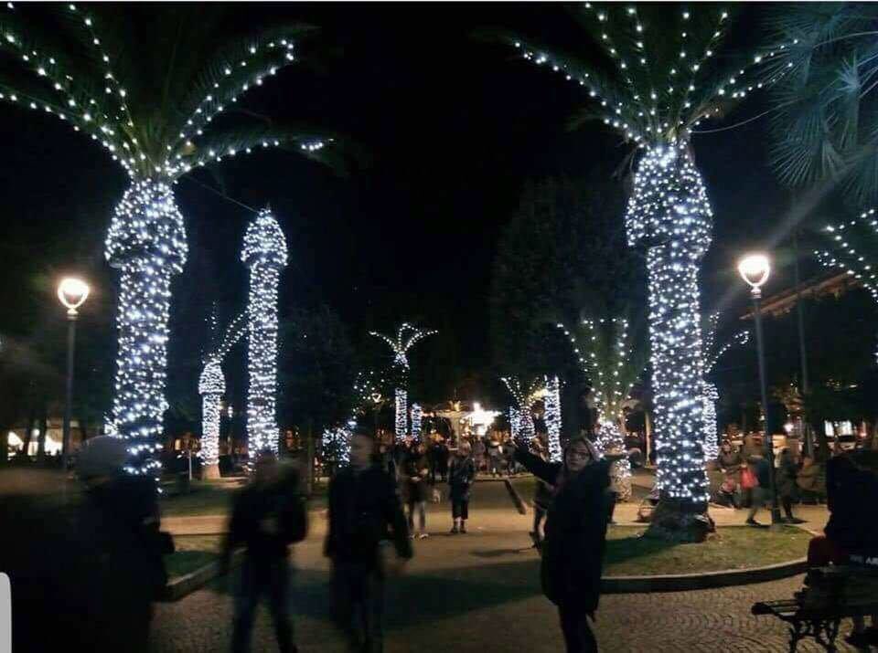 RT Why you don’t put Christmas lights on palm trees.  - embedded image 
